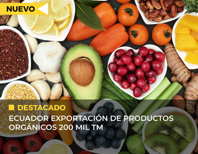 alimentos-organicos-ecuador
