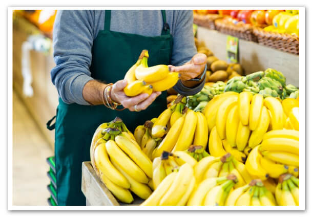 banano-europa-estados-unidos-pesticidas-organicos-primoris