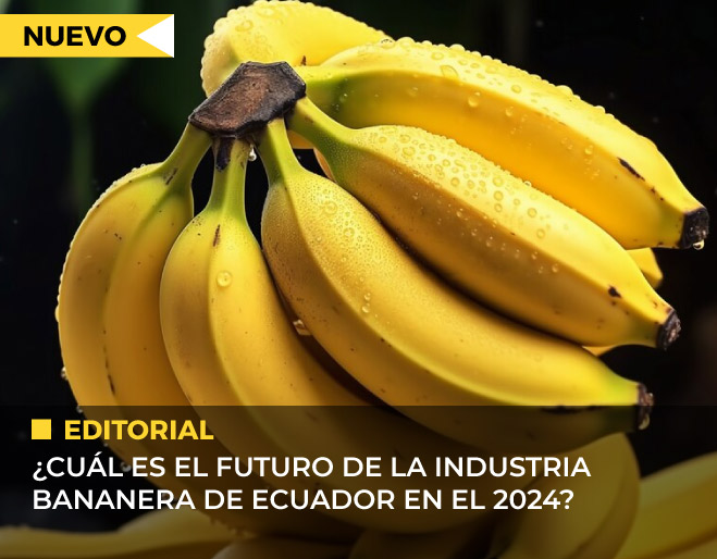 futuro-del-banano-en-el-Ecuador