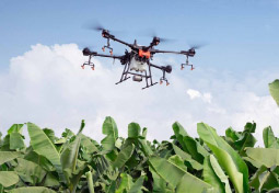 drone-agricola