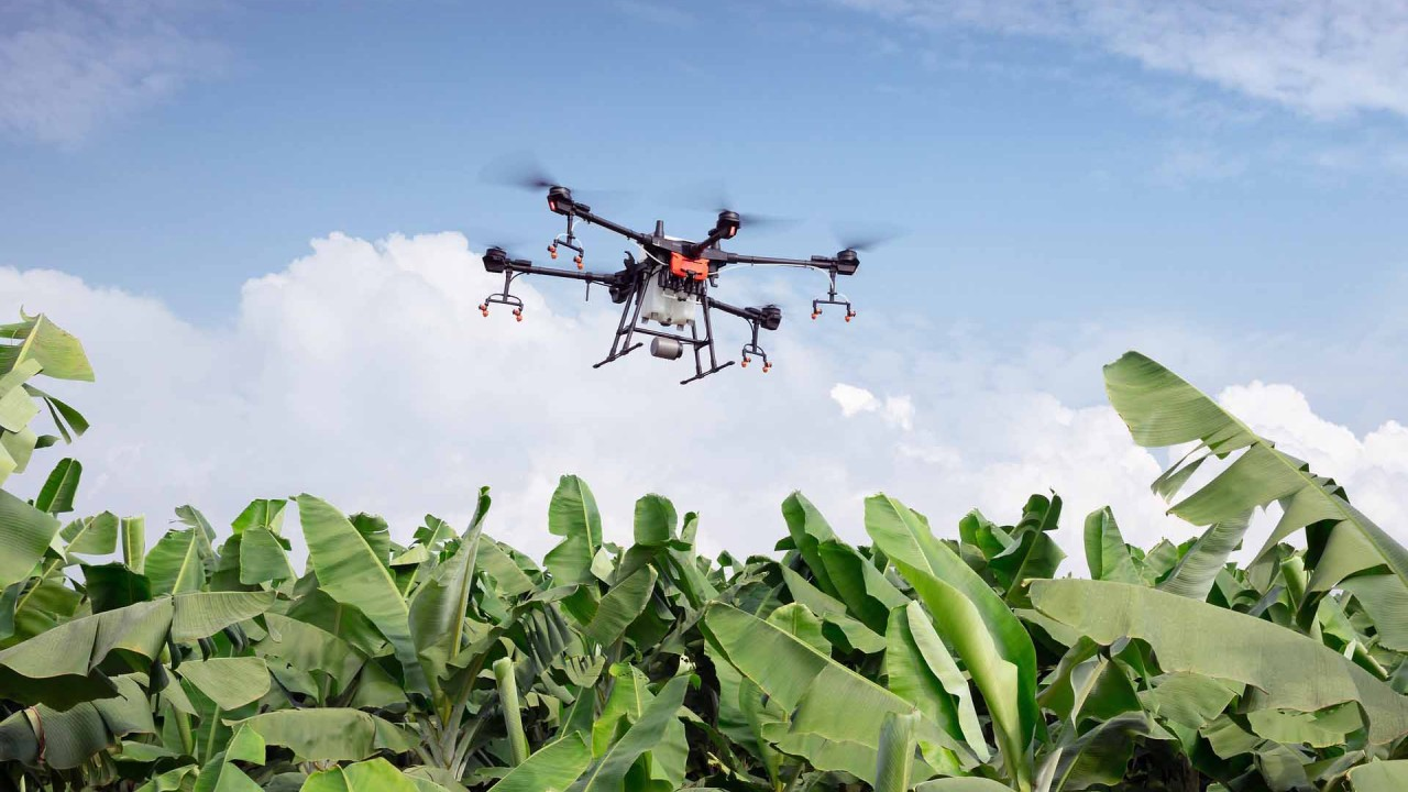 Drone en agricultura