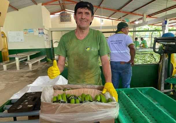 nuevo-precio-caja-banano-2026-ecuador