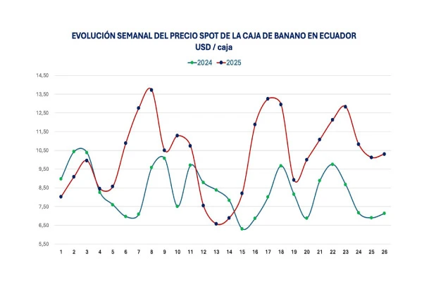 precio-caja-banano-spot-estadistica