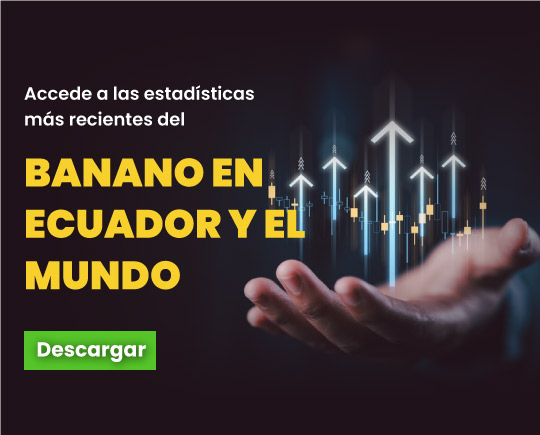 banner-promo-estadisticas