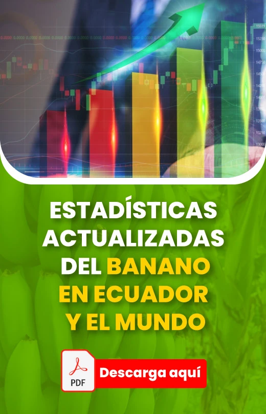 Banner-estadistica-520