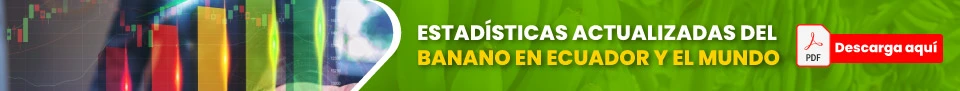 Banner-estadistica-960