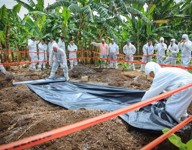 fusarium-raza-4-ecuador