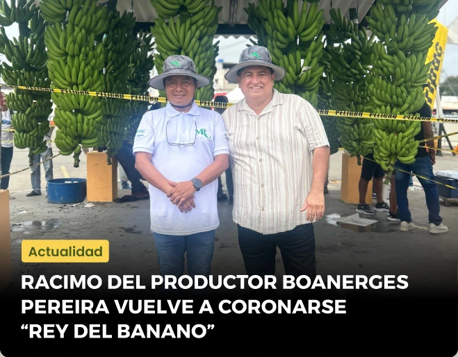 rey-del-banano-productor-boanerges-pereira