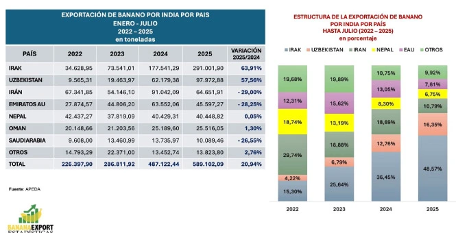 India-con-gran-potencial-de-exportacion