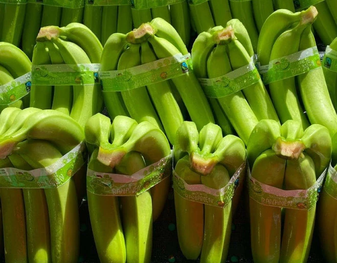 banano-en-Fruit-Attraction-2025-banner