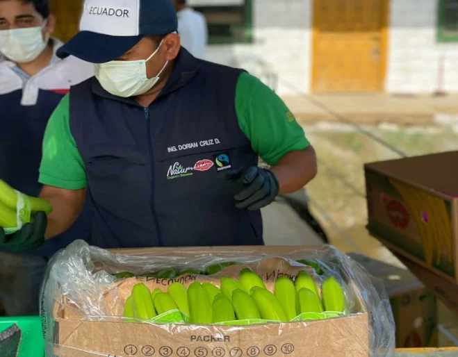 caja-de-banano