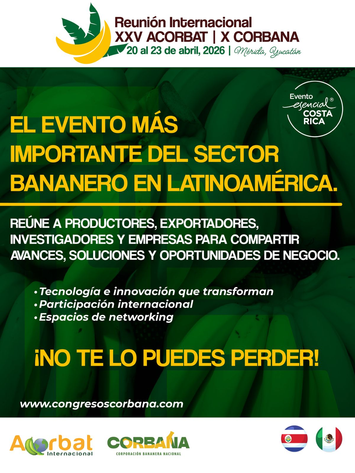 reunion internacional xxv acorbat