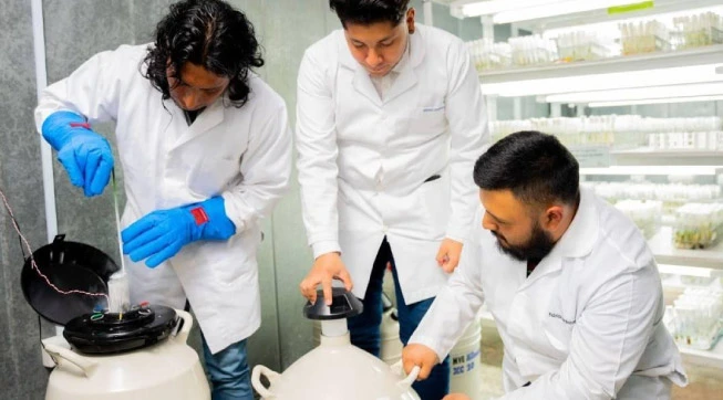 banco-germoplasma-iniap