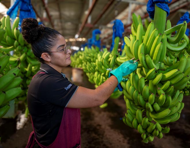 mujer-racimo-banano-ecuador