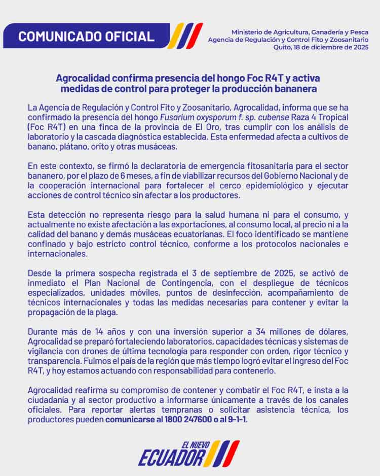 comunicado-agrocalidad-Fusarium-oxysporum