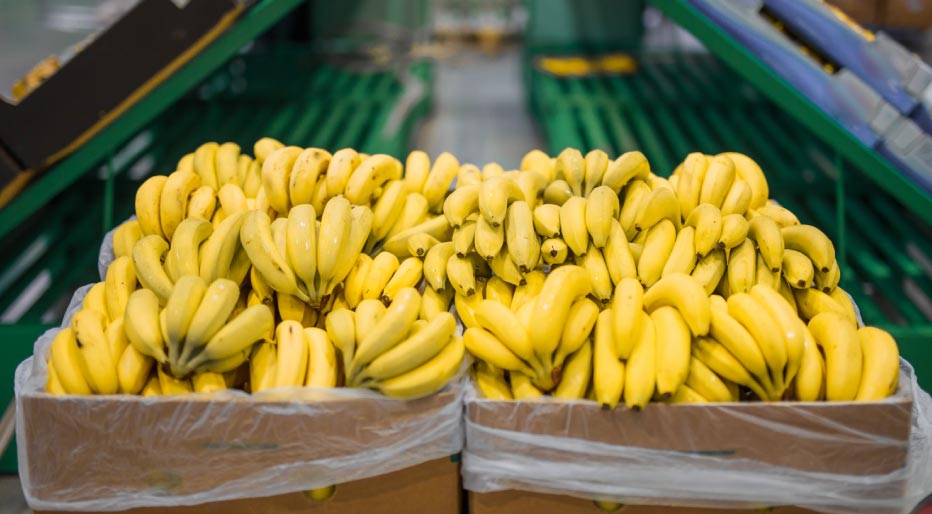 hoja-de-ruta-para-el-productor-2