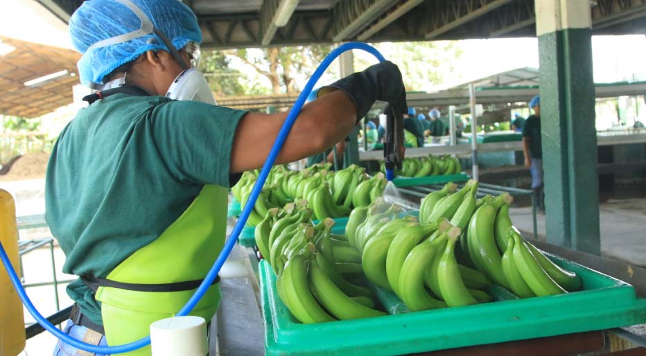honduras-comparte-la-clave-para-la-desinfeccion-1