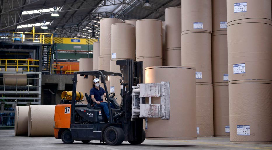 La-Materia-Prima-El-Corazon-de-la-Caja-de-Carton-2