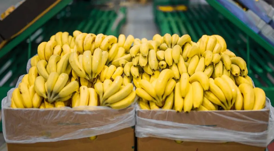 Radiografia-del-Banano-2025-1