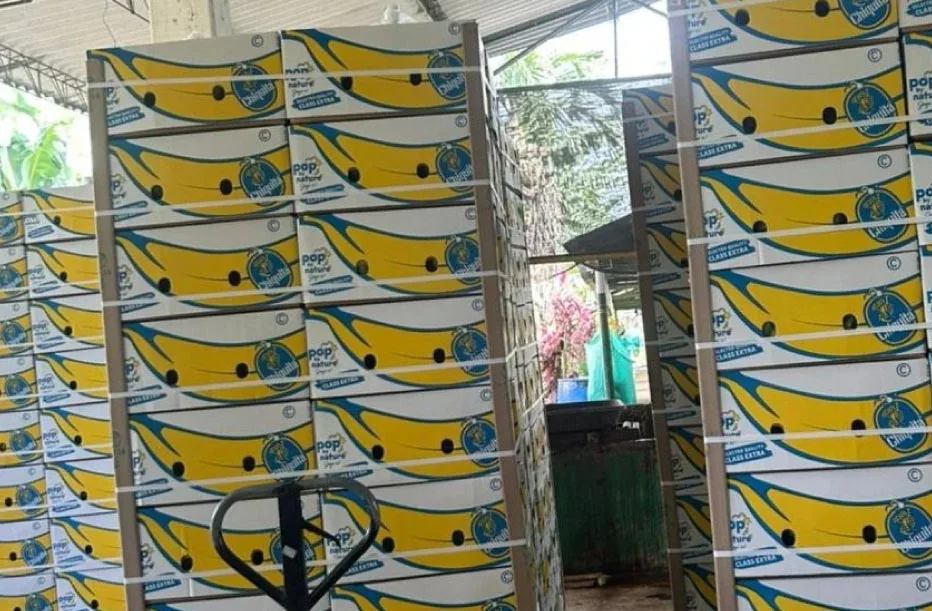 cajas-de-banano (1)