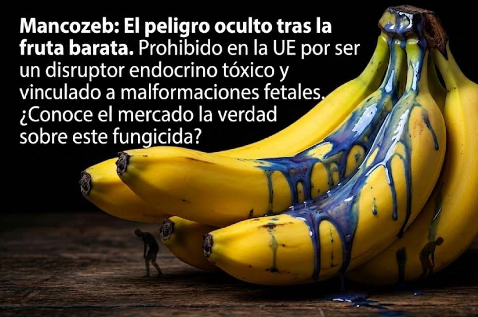 banana-manchada-frase