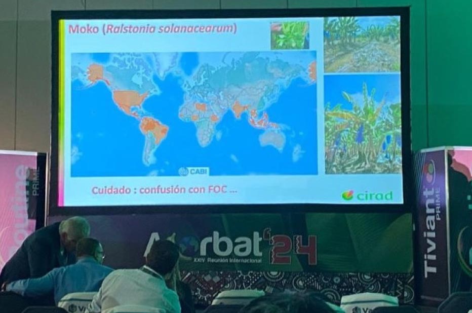 reunion-internacional-acorbat-conferencia