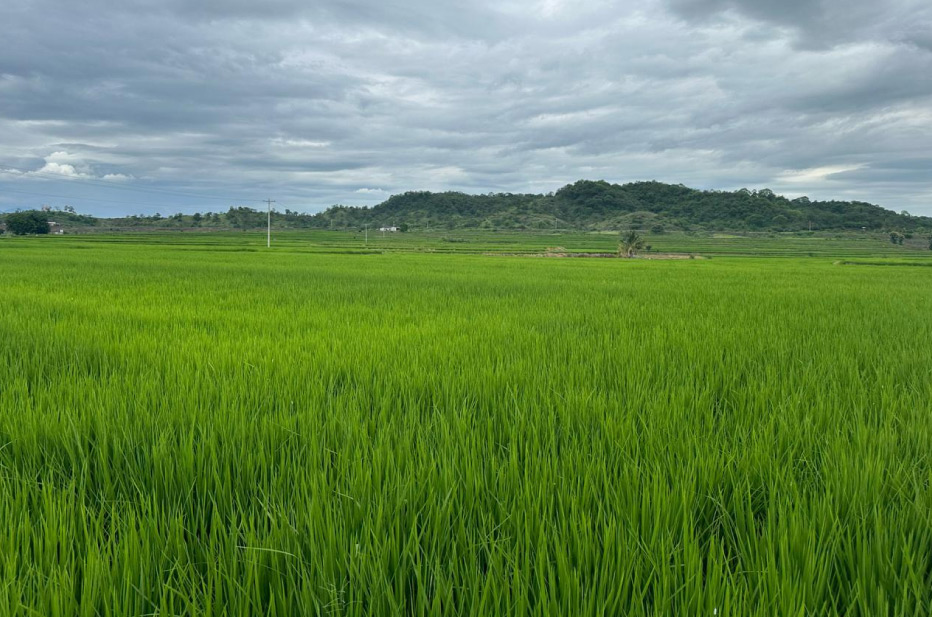 campo-antirresistencia-1
