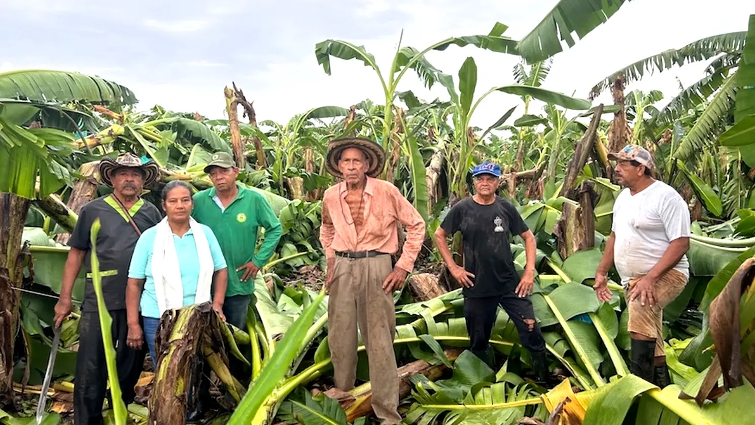 agricultores Magdalena Colombia 1