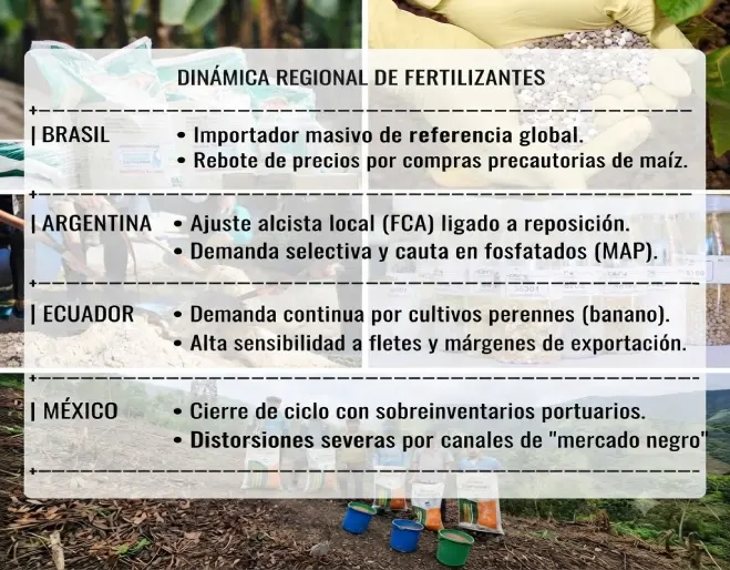 dinamica regional de fertilizantes